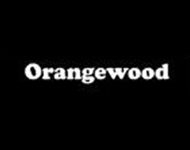 Acoustic Electric Guitars as low as $295
