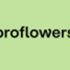 15% off Flowers & Plants