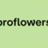 Up to 17% off Occasion Flowers